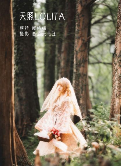斗破苍穹动漫在线观看免费全集_1080P全集免费播放